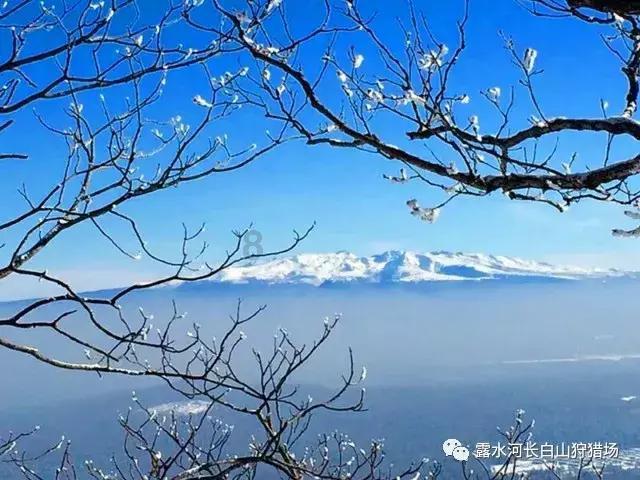 失忆症：黑暗后裔